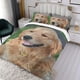 thumbnail image 3 of Golden Retriever Conjunto de sábanas temático, trío de piezas, cómodo y amigable con la piel, diseño único, regalo de decoración para el hogar para familiares, amigos y fans,135cm *200cm, 3 of 6