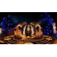 thumbnail image 2 of Paquete Duo de Doctor Who de Maximum Entertainment para Xbox One, 2 of 8
