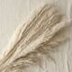 thumbnail image 3 of Ramo luminosa bleach 100 cm, 3 of 4