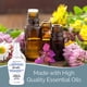 thumbnail image 3 of Aerosol ambientador para baño Smells Begone, aceite esencial, 120 ml, 3 of 4