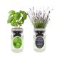 thumbnail image 1 of Kit de cultivo de hierbas Environet 2 unidades albahaca y lavanda, 1 of 6