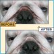 thumbnail image 2 of Pasta antiarrugas con 50 toallitas para bulldogs (francés e inglés), 2 of 9