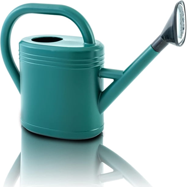 Regadera para plantas de exterior, pequeña, para interior, con aspersor desmontable