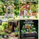 thumbnail image 4 of 50 mini ranas de resina, pequeñas ranas verdes en miniatura, lindas decoraciones de rana para jardín, animales de resina para paisajismo, casa de muñecas, manualidades, plantas en maceta., 4 of 7
