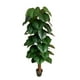 thumbnail image 1 of Planta Artificial Decorativa De 160 Cm Con Macetero, 1 of 5