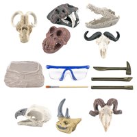 Bothyi - Excavación De Dinosaurios Stem Science Juguetes Educativos Para Niños En Edad Preescolar