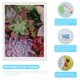thumbnail image 3 of Plantas Suculentas Kits de Pintura de Diamantes para Adultos 5D DIY Diamond Art Kits Full Drill Diamond Dots para Regalo Decoración de Pared y Relajación Artes de Gemas 30*40cm, 3 of 6