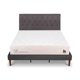 thumbnail image 1 of Cama Europea Curve Cocopedic King Respaldo Kavery, 1 of 14