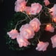 thumbnail image 1 of Guirnalda de luces LED rosadas a batería de 3 m, 20 LED, 6 cm de diámetro, PE (rosa), 1 of 5
