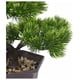 thumbnail image 4 of Árbol bonsái artificial, planta falsa decorativa, plantas artificiales en maceta, bonsái de pino japonés, planta alta para decoración del hogar, 4 of 4