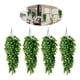 thumbnail image 1 of 4pcs Planta Colgante Artificiales Hojas Redonda De Eucalipto, 1 of 10