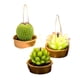 thumbnail image 3 of Kit 18 velas cactus souvenir verde limón, 3 of 3