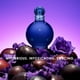 thumbnail image 3 of Perfume Britney Spears Midnight Fantasy Eau de Parfum, 100 ml, 3 of 3