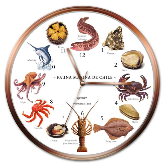 Reloj De Fauna Marina