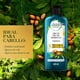 thumbnail image 3 of Acondicionador Herbal Essences Bio Renew Repair Argan Oil Of Morocco, 400 ml, 3 of 6