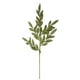 thumbnail image 1 of Rama Laurel Dorada 75cm, 1 of 3
