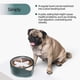 thumbnail image 3 of Pidan® Accesorio Alimentación Lenta Tamaño S Para Mascotas, 3 of 3