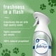 thumbnail image 2 of Ambientador en aerosol Febreze Air Mist HD Pet Odor Fighter 260 ml, 2 of 7