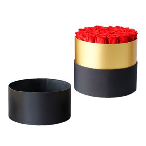 Bothyi - Rosas Preservadas En Caja De Regalo Flor Fresca Preservada Para Amiga Mamá Regalos Esposa 18 Flores De Rosa