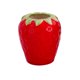 thumbnail image 5 of Florero De Cerámica De Fresa, Maceta Para Estante, Sala De Estar, Mesa De Comedor S, 5 of 5