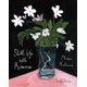 thumbnail image 1 of Libro Harper Influence – Still Life with Remorse, 1 of 1