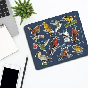 Bendito - Mousepad Aves De Chile