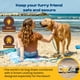 thumbnail image 2 of Dog Stake Beach Anchor Diggo Dog Beach Essentials, 2 of 9