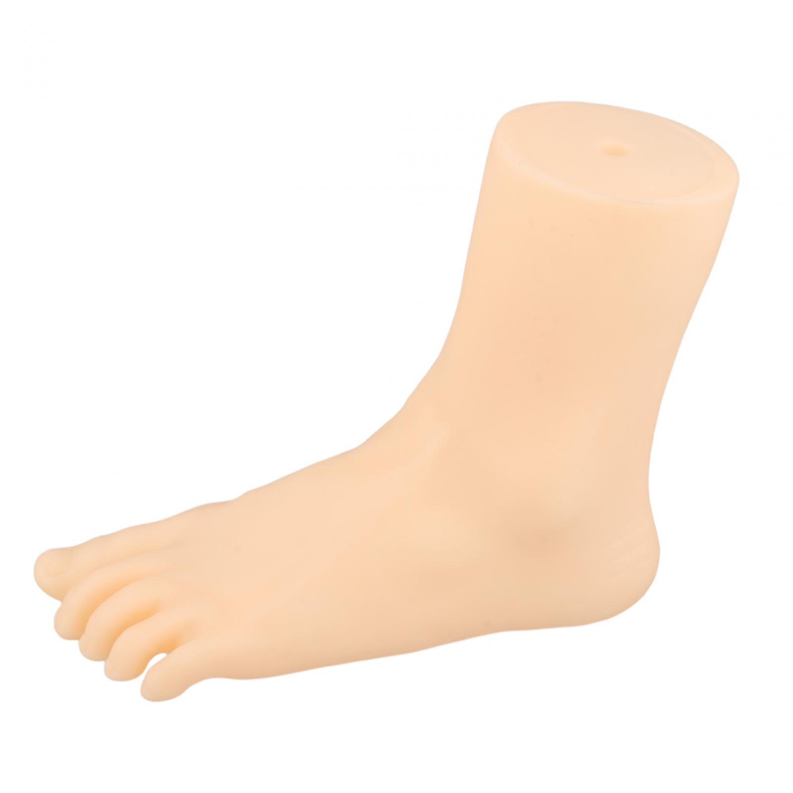 Magideal - Maniquí De Mujer Para Exhibir Pies, Modelo De Pie, Sandalias Duraderas, Zapatos, Calcetines, Simulación De Exhibición Para Tienda, Medias Cortas, Cade Estilo Izquierdo A