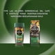 thumbnail image 4 of Café en polvo Descafeinado Tarro, 170 gr, 4 of 4
