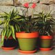 thumbnail image 2 of Maceta Kony 19 cm TerraVerde + Plato, 2 of 5