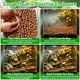 thumbnail image 4 of Bolas de Arcilla Expandida Riare 1,8 kg para Reptiles 4‑16 mm, 4 of 7