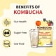 thumbnail image 5 of Té En Polvo De Kombucha 4 Sabores 20 Sobres 100 G, 5 of 6