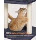 thumbnail image 3 of Rascador para Gatos KinoTail con Cama Superior de 48x40 cm y Postes de Sisal, 3 of 8
