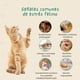thumbnail image 5 of Difusor Calmante Relajante Feromonas Antiestrés Gatos, 5 of 8