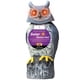 thumbnail image 1 of Búho solar Owlsome con ojos parpadeantes, cabeza giratoria y sonido, 1 of 7