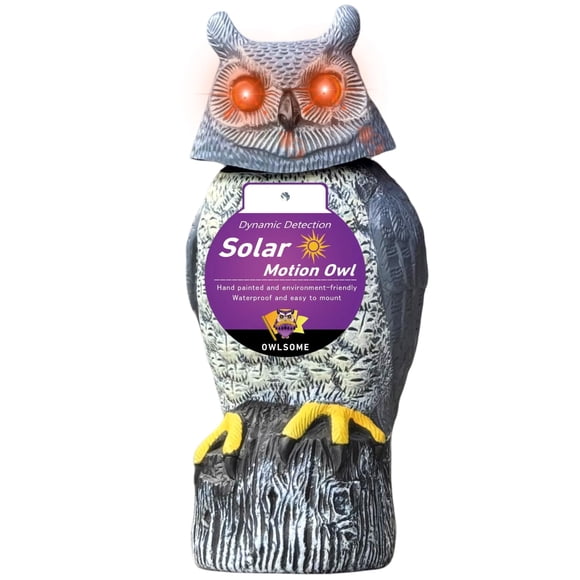 Búho solar Owlsome con ojos parpadeantes, cabeza giratoria y sonido