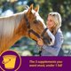 thumbnail image 2 of Suplemento Farnam Horse Health Joint Combo para pezuña y abrigo, 8 libras, 2 of 9