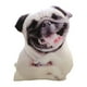 thumbnail image 2 of Cojín Para Perro, Almohada Para Regalo De Navidad, Decoración De Sofá, Accesorio De Juguete, Estilo A, 2 of 3