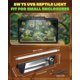 thumbnail image 5 of Kit de Luz UVB GlowUp 31 cm 5.0/10.0 8 W para Reptiles, 5 of 6