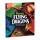 thumbnail image 1 of Kit de actividades Scholastic Paper Flying Dragons Medium, 1 of 2