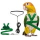 thumbnail image 1 of Arnés y Correa para Aves Uxcell, Arnés y Correa para Loros con Alas Lindas para Loros (Verde, S), 1 of 7