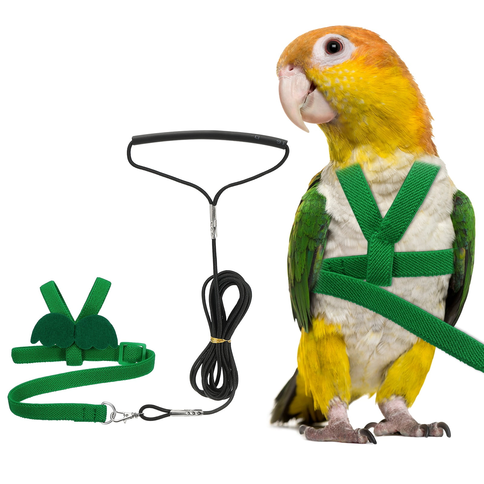 Arnés y Correa para Aves Uxcell, Arnés y Correa para Loros con Alas Lindas para Loros (Verde, XS)