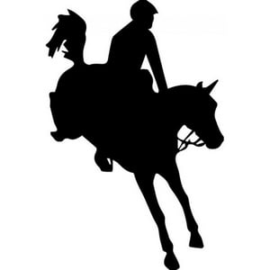 Rienda Libre Graphics - Decomural Jockey Jump Horse Racing Ws-32781
