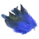 thumbnail image 5 of 50 piezas de plumas para manualidades decorativas, plumas de pollo suaves, accesorios artesanales para sombreros, suministros para fiestas, festivales Azul, 5 of 5