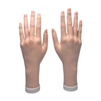 Magideal - Modelo De Mano Femenina, Flexible Que Muestra Mano Falsa Flexible, Mano De Maniquí Para Exhibición De Joyería, Accesorios Para Fotos, Práctica De Izquierda Y Derecha