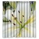 thumbnail image 1 of Cortina de ducha Washington Lilium con ganchos (167 x 183 cm), 1 of 3