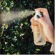 thumbnail image 3 of Body Mist Pistaché Skincare, fragancia de pistacho, 100 ml, 3 of 9