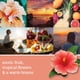 thumbnail image 3 of Ambientador eléctrico Yankee Candle ScentPlug Cliffside, 3 of 7