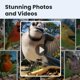 thumbnail image 4 of Comedero Inteligente para Pájaros Birdfy Rookie con Cámara y Visión Nocturna, 4 of 9
