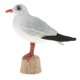 thumbnail image 1 of Plástico pájaro animal modelo figura ni?os regalo educativo juguete gaviota de cabeza negra, 1 of 5